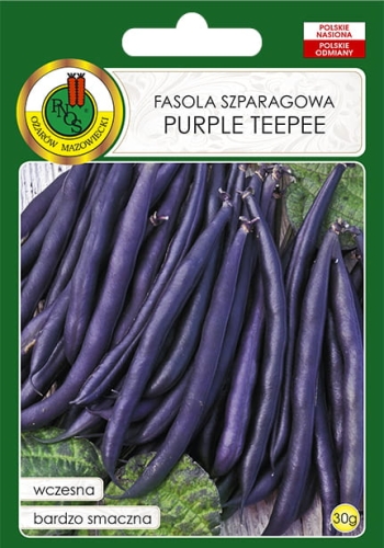 Nasiona PNOS - fasola szparagowa Purple Teepee