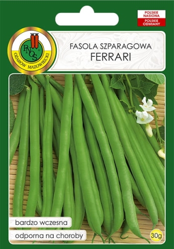 Nasiona warzyw-Nasiona fasoli-Fasola szparagowa zielona Ferrari 30g