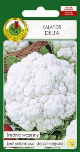 Nasiona PNOS - nasiona kalafiora