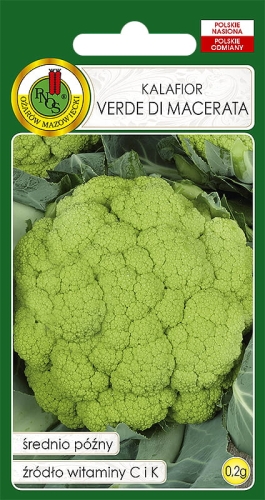 Nasiona PNOS - nasiona kalafiora