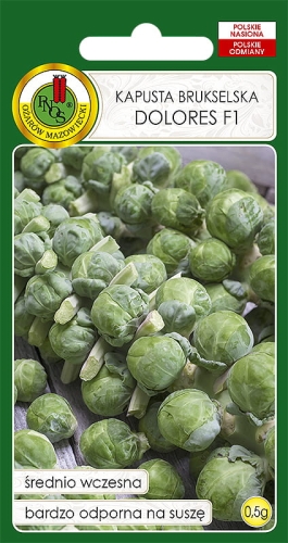 Nasiona PNOS - nasiona kapusty brukselskiej