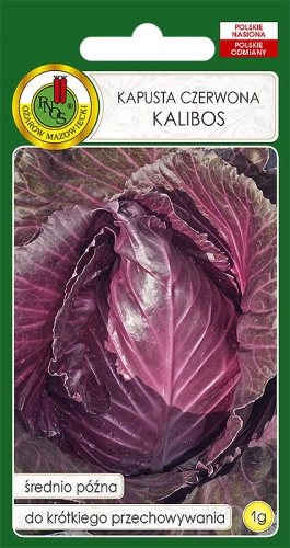 Nasiona PNOS - nasiona kapusty czerwonej