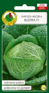 Nasiona PNOS - nasiona kapusty włoskiej
