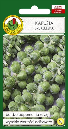 Nasiona PNOS - nasiona kapusty brukselskiej