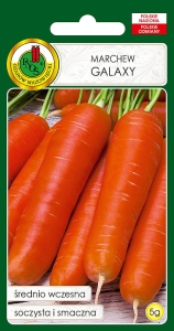 Nasiona PNOS-nasiona marchwi