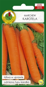 Nasiona PNOS-nasiona marchwi
