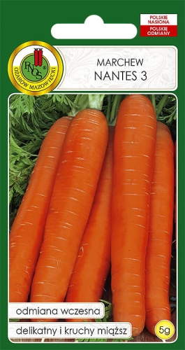 Nasiona PNOS-nasiona marchwi