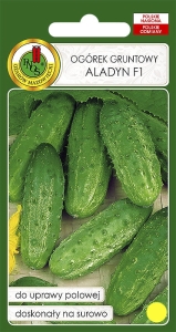 Nasiona PNOS - ogorek aladyn.jpg