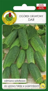 Nasiona PNOS - ogorek dar