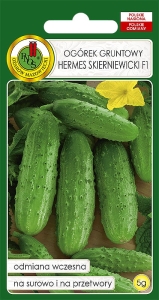 Nasiona PNOS - ogorek hermes skierniewicki.jpg