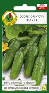 Nasiona warzyw-Nasiona ogórka-Ogórek Ikar 5g