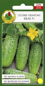 Nasiona PNOS - ogorek krak