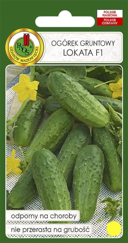 Nasiona PNOS - Ogórek Lokata F1 100g