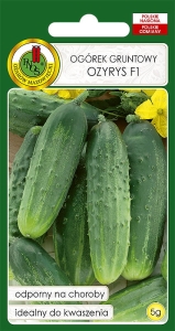 Nasiona PNOS - ogorek ozyrys