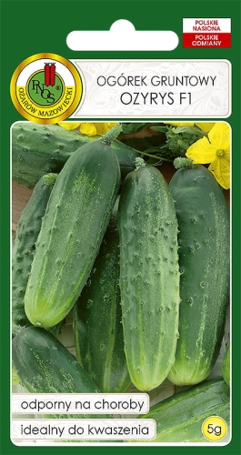 Nasiona PNOS - ogorek ozyrys