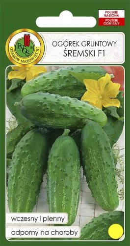 Nasiona PNOS - ogorek sremski.jpg