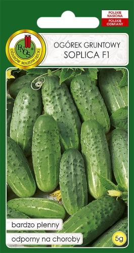 Nasiona PNOS -ogorek soplica.jpg