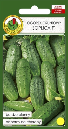 Nasiona PNOS -ogorek soplica