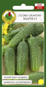 Ogórek gruntowy TRAPER F1 100g