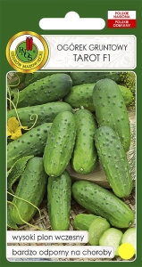 Ogórek gruntowy TAROT  F1 500g