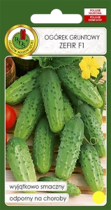 Nasiona warzyw PNOS -Nasiona ogórka-Ogórek gruntowy Zefir