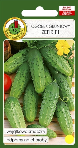 Nasiona warzyw PNOS -Nasiona ogórka-Ogórek gruntowy Zefir