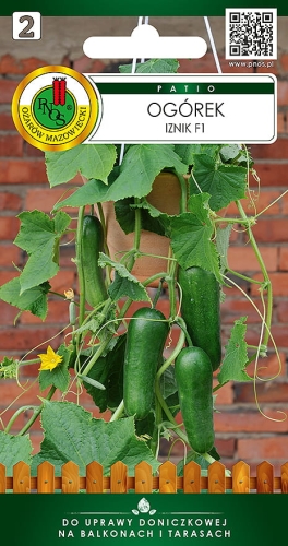 Nasiona PNOS PATIO - ogorek iznik.jpg