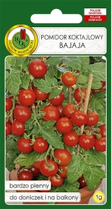 Nasiona warzyw PNOS-Nasiona pomidorów-Pomidor koktajlowy Bajaja