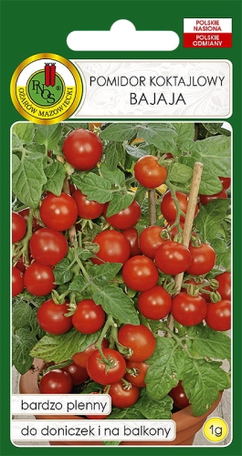 Nasiona warzyw PNOS-Nasiona pomidorów-Pomidor koktajlowy Bajaja