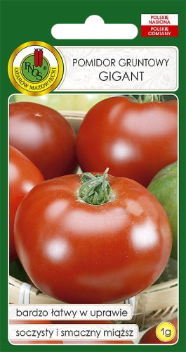 Nasiona warzyw PNOS-Nasiona pomidorów-Pomidor gruntowy Gigant 1g
