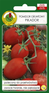 Nasiona warzyw PNOS-Nasiona pomidorów-Pomidor gruntowy Pikador
