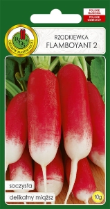 Nasiona PNOS - rzodkiewka flamboyant 2