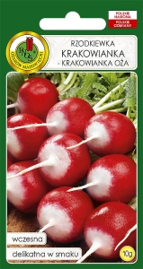 Rzodkiewka KRAKOWIANKA-KRAKOWIANKA OŻA 10g