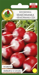Rzodkiewka KRAKOWIANKA-KRAKOWIANKA OŻA 100g