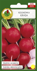 Rzodkiewka KRASA 100g