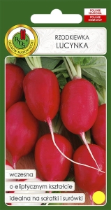 Rzodkiewka LUCYNKA 100g