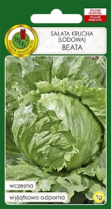 Nasiona sałaty - Sałata Beata 1g