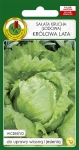 Sałata głowiasta krucha KRÓLOWA LATA 1g