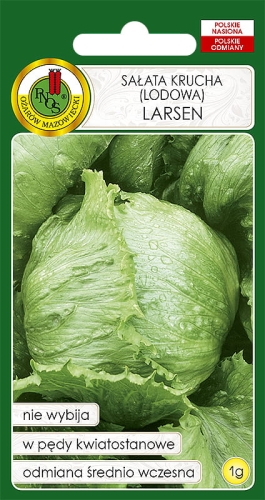 Nasiona PNOS - Sałata krucha Larsen 1g