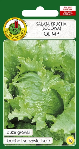 Nasiona PNOS - sałata Olimp