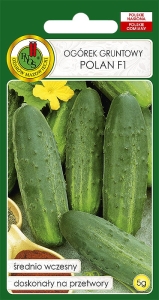 NASIONA PNOS - ogorek polan