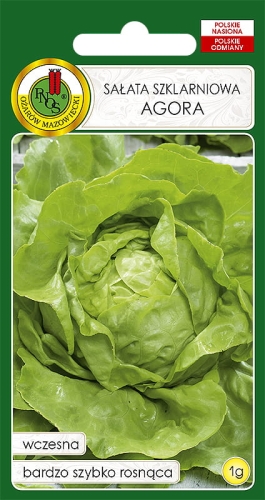 Nasiona warzyw PNOS - Sałata szklarniowa Agora 1g