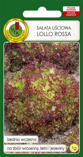 NASIONA PNOS - Salata lollo rossa