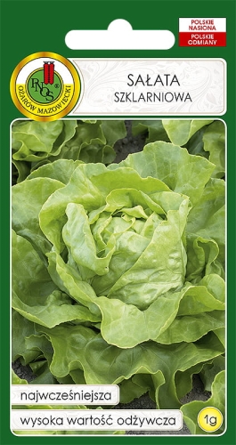 Nasiona warzyw PNOS - Sałata szklarniowa Aten 1g