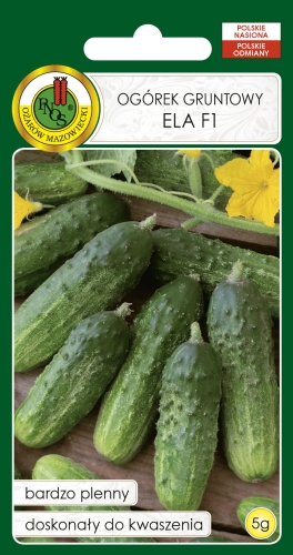 Nasiona PNOS - ogorek ela.jpg