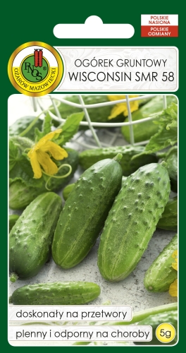 Nasiona PNOS - ogorek wisconsin.jpg
