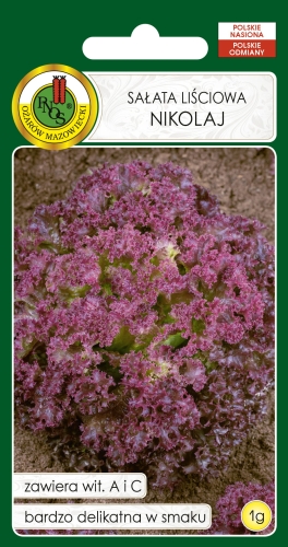 Nasiona PNOS - Salata nikolaj