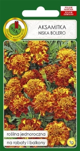 Nasiona Kwiatów  -  Aksamitka niska Bolero 1g