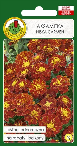 Nasiona PNOS  Nasiona Kwiatów  aksamitka niska carmen