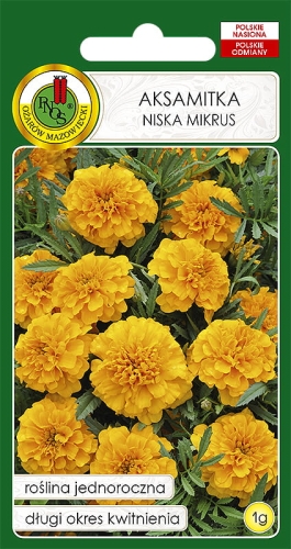 Nasiona PNOS aksamitka niska mikrus
